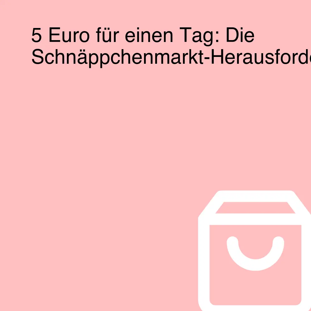 5 Euro für einen Tag: Die Schnäppchenmarkt-Herausforderung