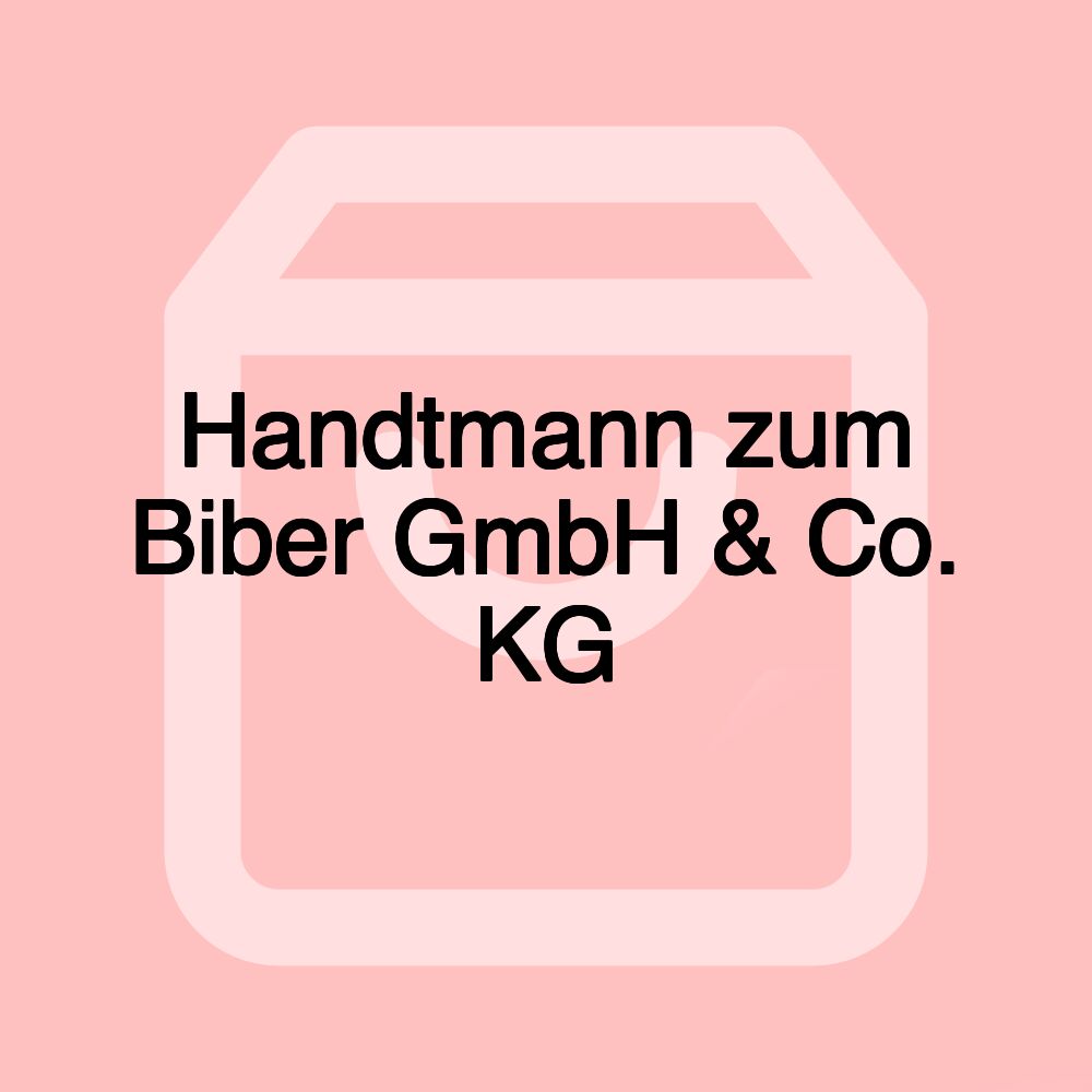 Handtmann zum Biber GmbH & Co. KG