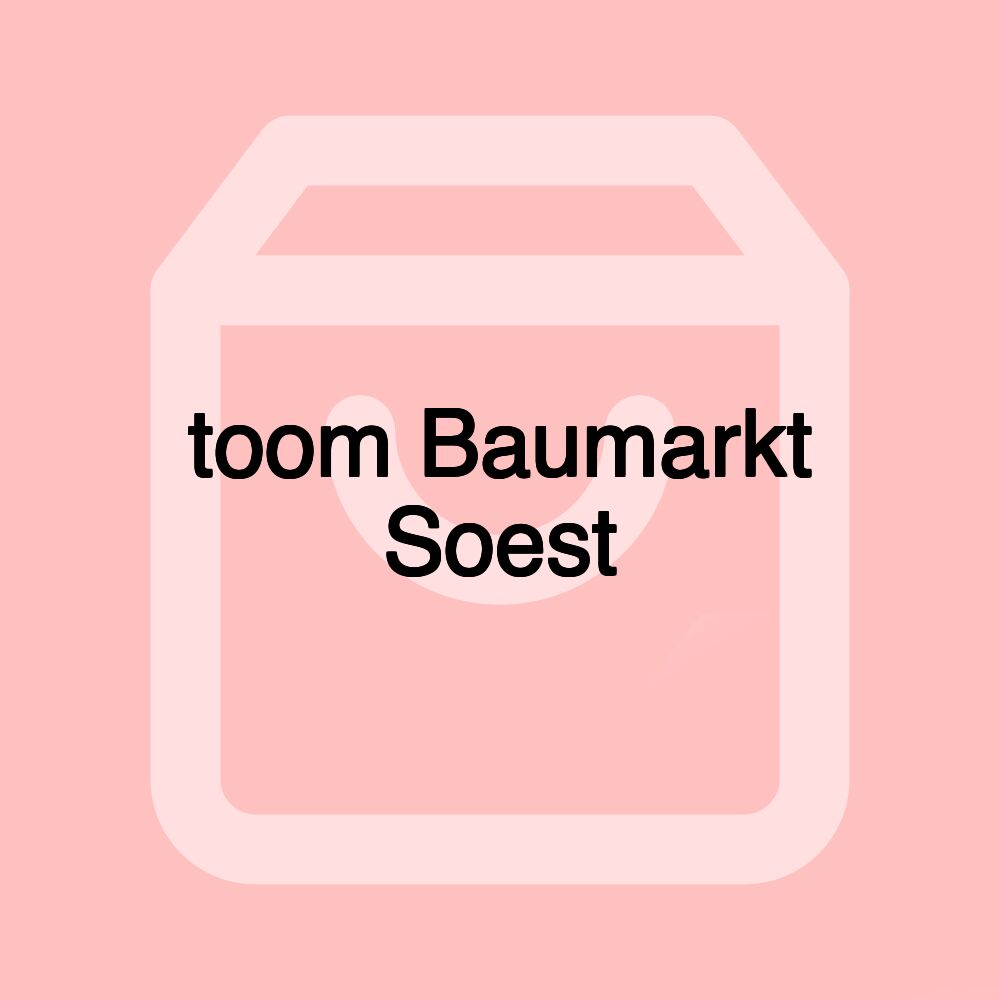 toom Baumarkt Soest